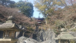 石山寺　桜
