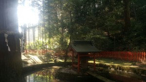 石山寺　八大龍王社