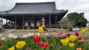 山科別院長福寺ブログ常務