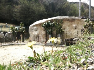 南郷霊園　ベストショット