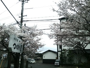 南郷霊園　帰り道