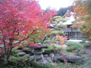 西應寺　庭園①