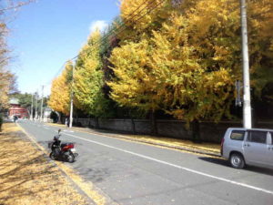 恵比寿神社の紅葉