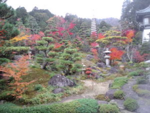 西應寺　庭園②