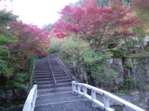 西應寺　参道