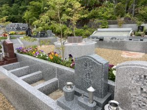 蓮の花が並ぶ本堂前