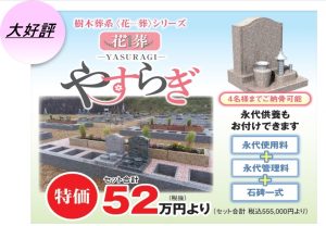 樹木葬系の『やすらぎ』は永代供養を付加できる家族墓セットです。お問合せ増えています。（お花の植樹に関しましては不定期の管理になります。）