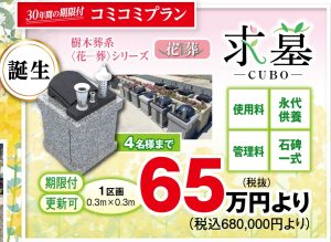 国道沿いの駐車場に加え、新区画横にも駐車場を完備。お参りには最適です。